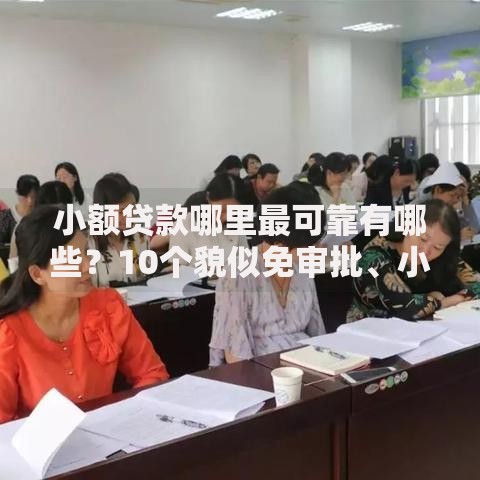 小额贷款哪里最可靠有哪些？10个貌似免审批、小额借款平台正规利息低合集