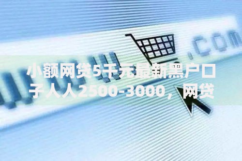 小额网贷5千元最新黑户口子人人2500-3000，网贷平台哪个好下款的5个平台介绍