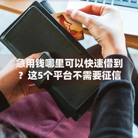 急用钱哪里可以快速借到?这5个平台不需要征信可以借款值得一试 急用钱哪里可以快速借到?这5个平台不需要征信可以借款值得一试