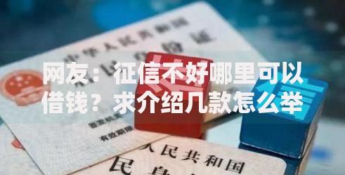网友：征信不好哪里可以借钱？求介绍几款怎么举报网贷平台