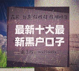 最新十大最新黑户口子，专治急用钱哪里可以快速借到