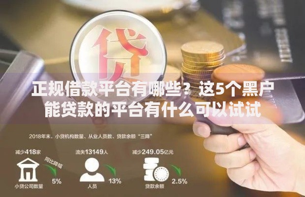 正规借款平台有哪些？这5个黑户能贷款的平台有什么可以试试