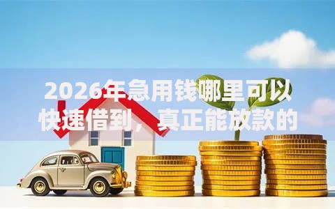 2026年急用钱哪里可以快速借到，真正能放款的5个新口子黑户推荐
