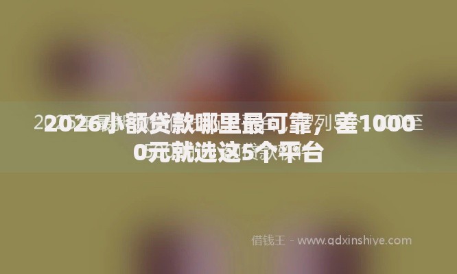 2026小额贷款哪里最可靠，差10000元就选这5个平台