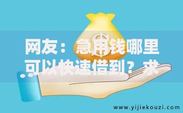 网友：急用钱哪里可以快速借到？求介绍几款借钱容易的平台