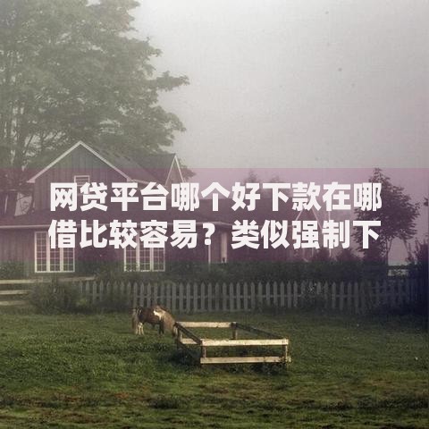 网贷平台哪个好下款在哪借比较容易？类似强制下款的5个口子参考