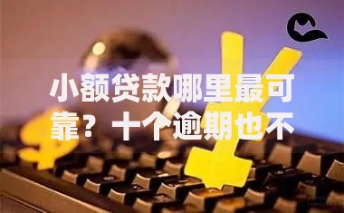 小额贷款哪里最可靠？十个逾期也不怕的不看征信的网贷平台