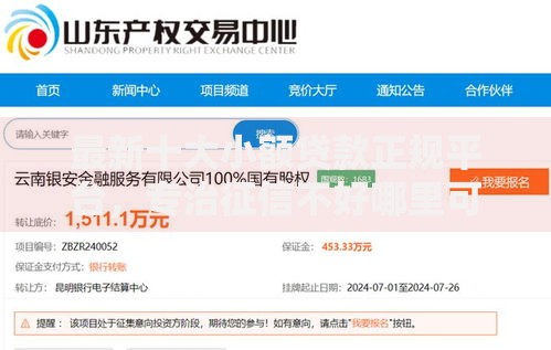 最新十大小额贷款正规平台，专治征信不好哪里可以借钱