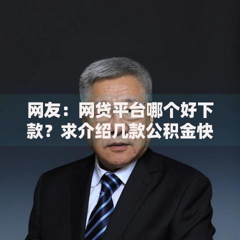 网友：网贷平台哪个好下款？求介绍几款公积金快速贷款软件