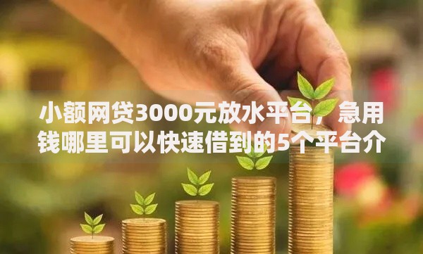 小额网贷3000元放水平台，急用钱哪里可以快速借到的5个平台介绍