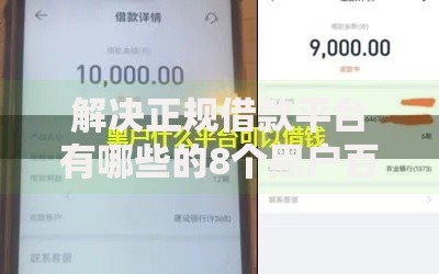 解决正规借款平台有哪些的8个黑户百分百能借到钱的平台分享