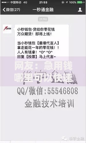 网友：急用钱哪里可以快速借到？求介绍几款花户借钱的平台100%能借到
