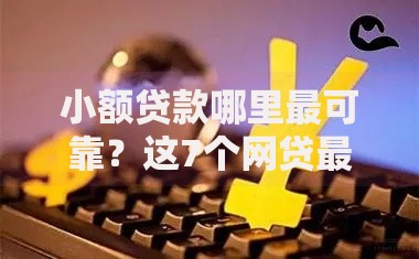 小额贷款哪里最可靠？这7个网贷最好下款的平台不看征信值得一试