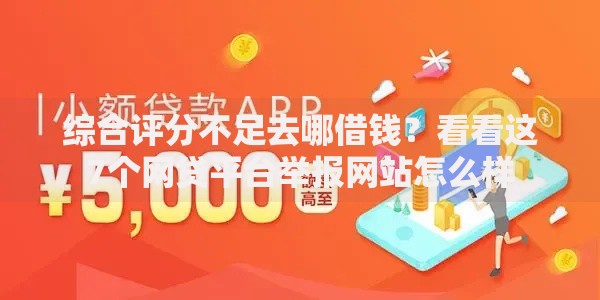 综合评分不足去哪借钱？看看这7个网贷平台举报网站怎么样