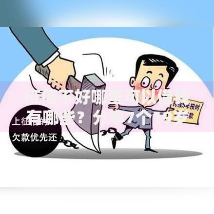 征信不好哪里可以借钱有哪些？分享7个19岁贷款容易过审批的口子