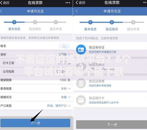 不看征信的贷款平台？6个平台试试看哪个能下款