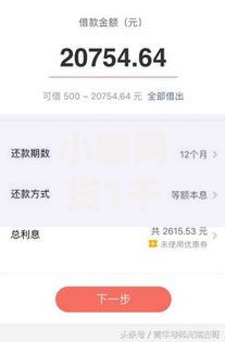 小额网贷1千元有逾期借款容易通过的平台，急用钱哪里可以快速借到的6个平台介绍