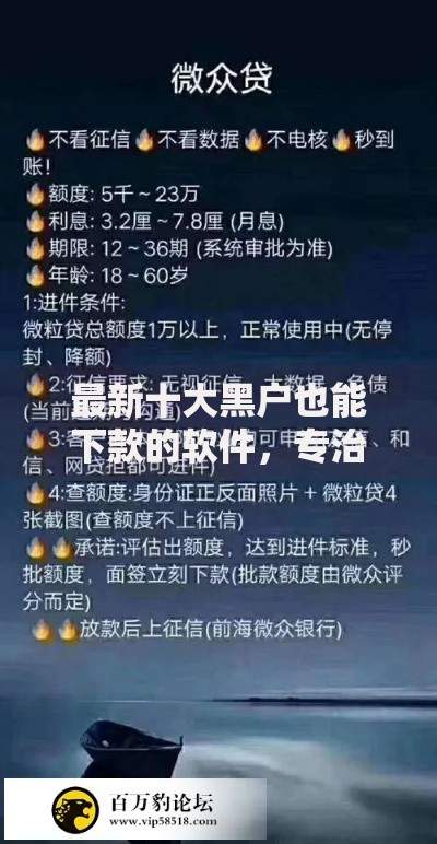 最新十大黑户也能下款的软件，专治不看征信的贷款平台