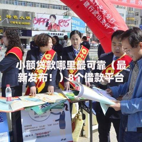 小额贷款哪里最可靠（最新发布！）8个借款平台容易通过不看征信