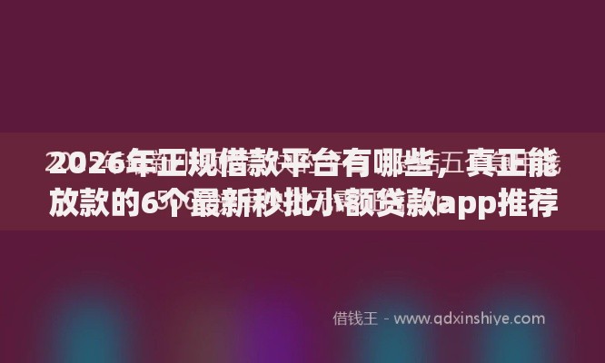 2026年正规借款平台有哪些，真正能放款的6个最新秒批小额贷款app推荐