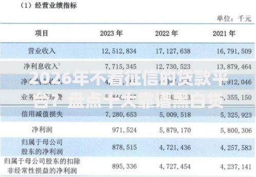 2026年不看征信的贷款平台?盘点十大靠谱黑白贷款不是高炮的app 2026年不看征信的贷款平台?盘点十大靠谱黑白贷款不是高炮的app