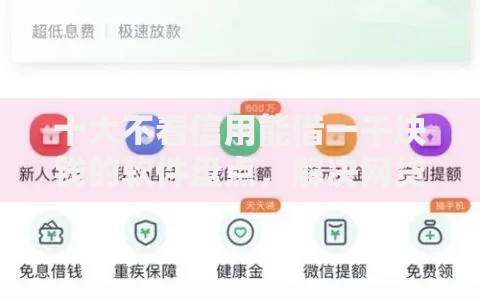 十大不看信用能借一千块钱的软件盘点，解决网贷平台哪个好下款的问题