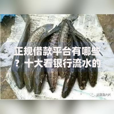正规借款平台有哪些？十大看银行流水的网贷口子推荐