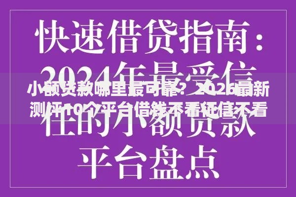 小额贷款哪里最可靠？2026最新测评10个平台借钱不看征信不看逾期,不看欠款
