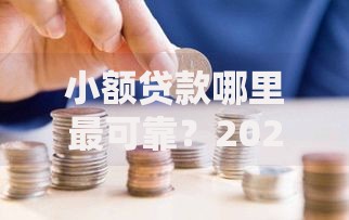 小额贷款哪里最可靠？2026最新测评10个黑户当天下款的口子