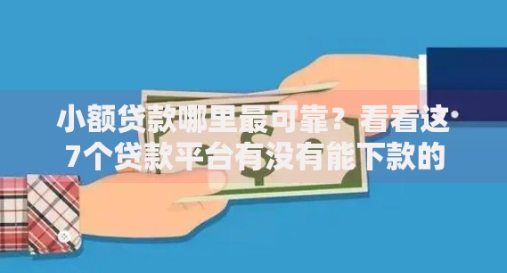 小额贷款哪里最可靠？看看这7个贷款平台有没有能下款的