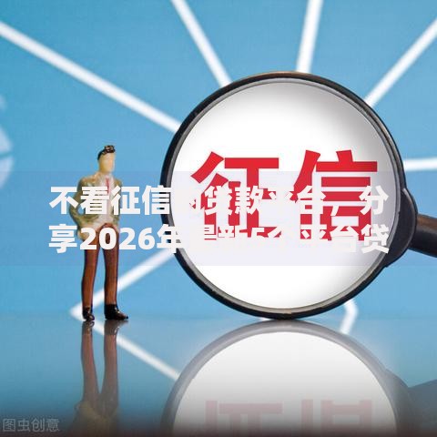 不看征信的贷款平台，分享2026年最新5个平台贷款不看征信