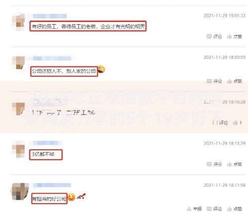 2026年正规借款平台有哪些网友分享的5个19岁好下款的黑户借钱平台我觉得不错！