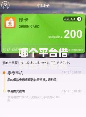 哪个平台借钱最容易通过？盘点7个无视黑花能下款一万元口子给你参考