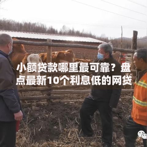 小额贷款哪里最可靠？盘点最新10个利息低的网贷口子