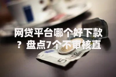 网贷平台哪个好下款？盘点7个不审核直接放款1000的口子给你参考