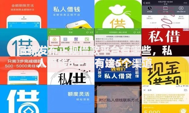 最新发布正规借款平台有哪些，私人借钱8千元有这5个渠道