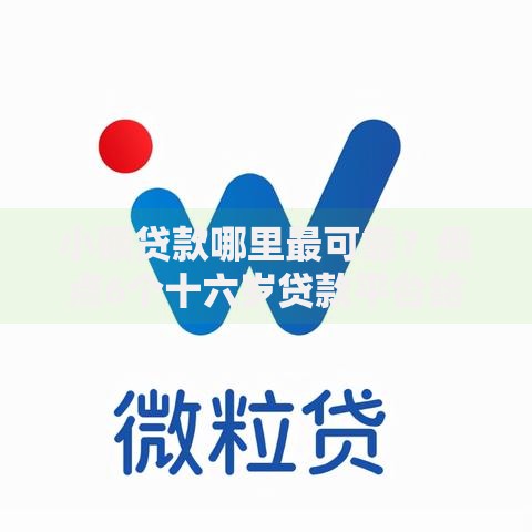 小额贷款哪里最可靠?盘点6个十六岁贷款平台给你参考 小额贷款哪里最可靠?盘点6个十六岁贷款平台给你参考