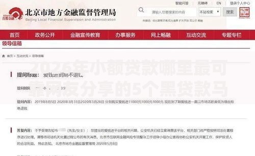 2026年小额贷款哪里最可靠网友分享的5个黑贷款马上下款的口子2025我觉得不错！
