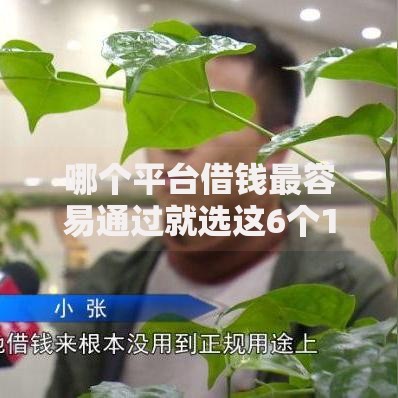 哪个平台借钱最容易通过就选这6个1千元无条件下款的平台 哪个平台借钱最容易通过就选这6个1千元无条件下款的平台