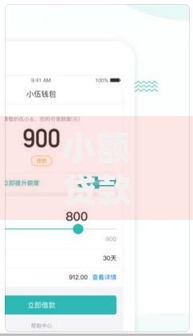 小额贷款哪里最可靠？8个平台试试看哪个能下款