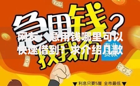 网友：急用钱哪里可以快速借到？求介绍几款比较容易借钱的平台