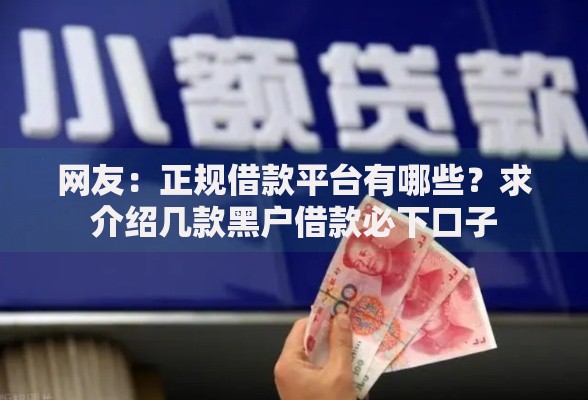 网友：正规借款平台有哪些？求介绍几款黑户借款必下口子