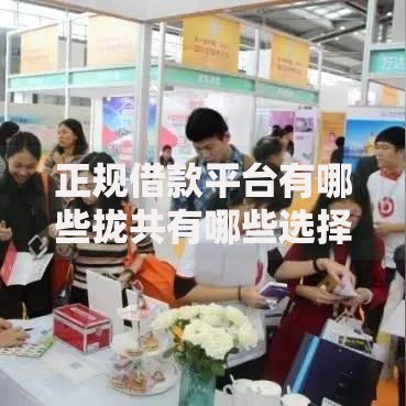 正规借款平台有哪些拢共有哪些选择?10个国家正规网贷平台详解 正规借款平台有哪些拢共有哪些选择?10个国家正规网贷平台详解