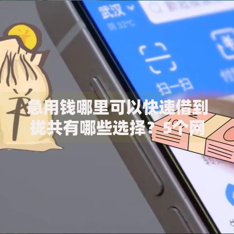 急用钱哪里可以快速借到拢共有哪些选择?5个网贷容易通过的平台详解 急用钱哪里可以快速借到拢共有哪些选择?5个网贷容易通过的平台详解