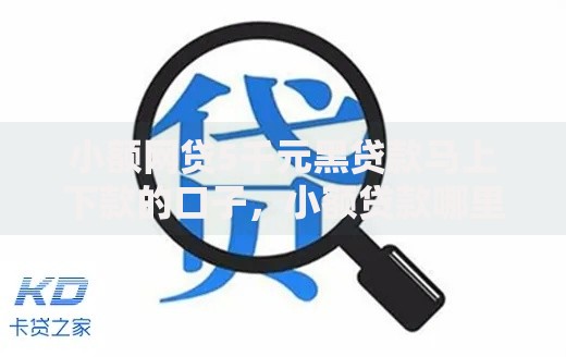 小额网贷5千元黑贷款马上下款的口子,小额贷款哪里最可靠的5个平台介绍 小额网贷5千元黑贷款马上下款的口子,小额贷款哪里最可靠的5个平台介绍