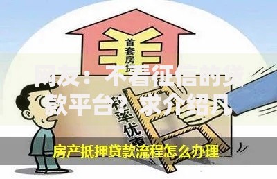 网友：不看征信的贷款平台？求介绍几款房产抵押贷款平台