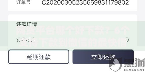 网贷平台哪个好下款?6个支持下款到微信的最快借钱平台 网贷平台哪个好下款?6个支持下款到微信的最快借钱平台