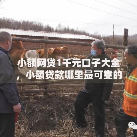 小额网贷1千元口子大全,小额贷款哪里最可靠的5个平台介绍 小额网贷1千元口子大全,小额贷款哪里最可靠的5个平台介绍