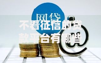 不看征信的贷款平台有哪些？8个无视双黑能下的分期贷推荐给你