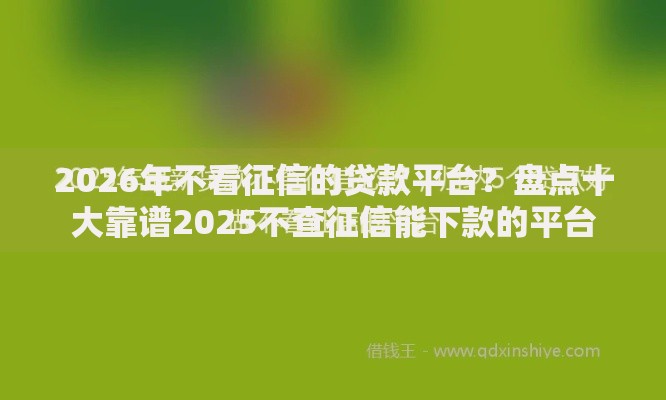 2026年不看征信的贷款平台?盘点十大靠谱2025不查征信能下款的平台 2026年不看征信的贷款平台?盘点十大靠谱2025不查征信能下款的平台